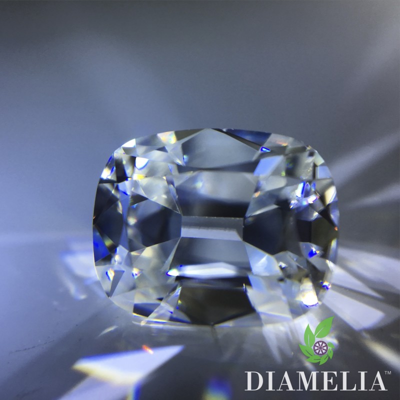 DIAMELIA EVC (Elongated Vintage Cushion)