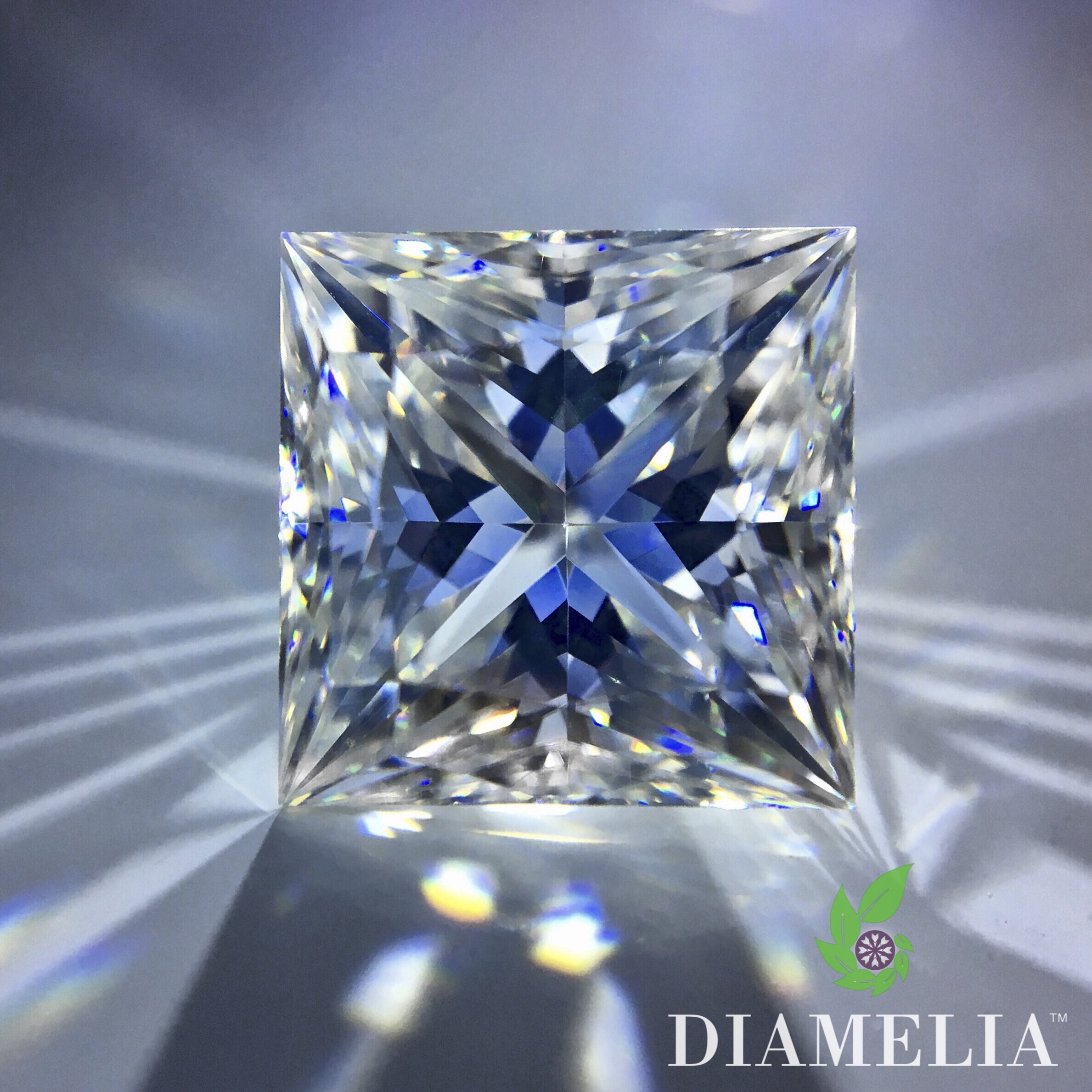 Princess cut on sale gem