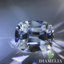 DIAMELIA EVC (Elongated Vintage Cushion)