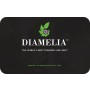 Brand Authenticity & Warranty Card